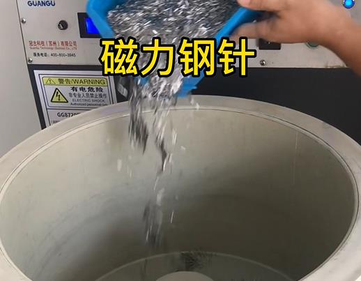 大城不锈钢箍用钢针